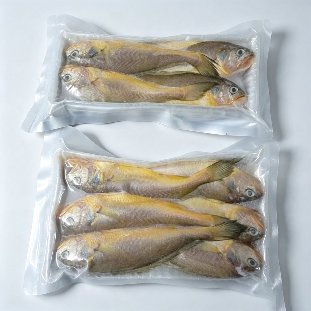 Fresh Wild Caught Yellow Fish