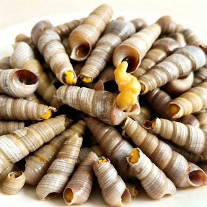 Fresh Raw Tower Snails